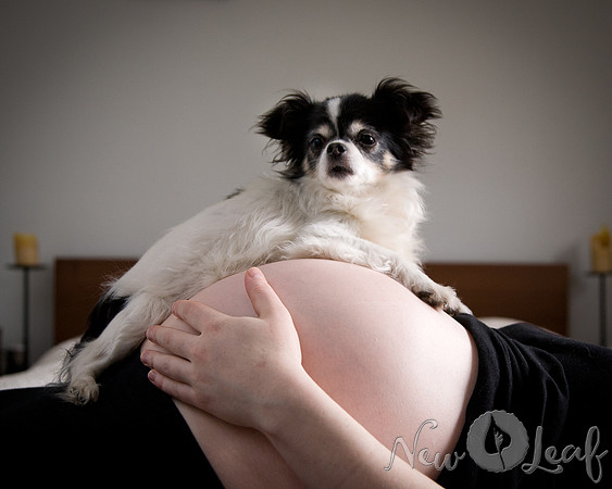 Brant_Maternity_009