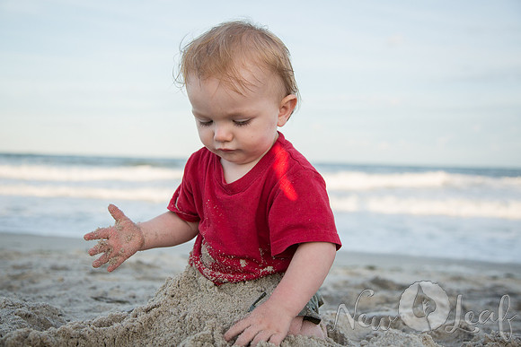 308_Brant_beach
